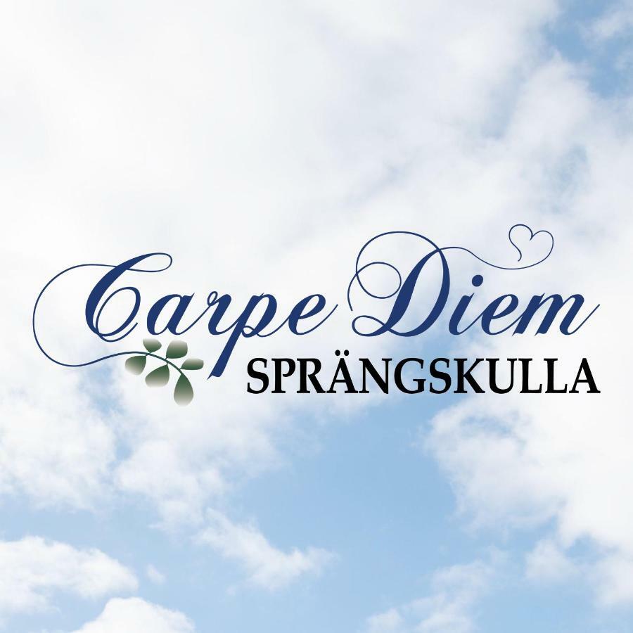 Carpe Diem Spraengskulla Veddige Exterior foto